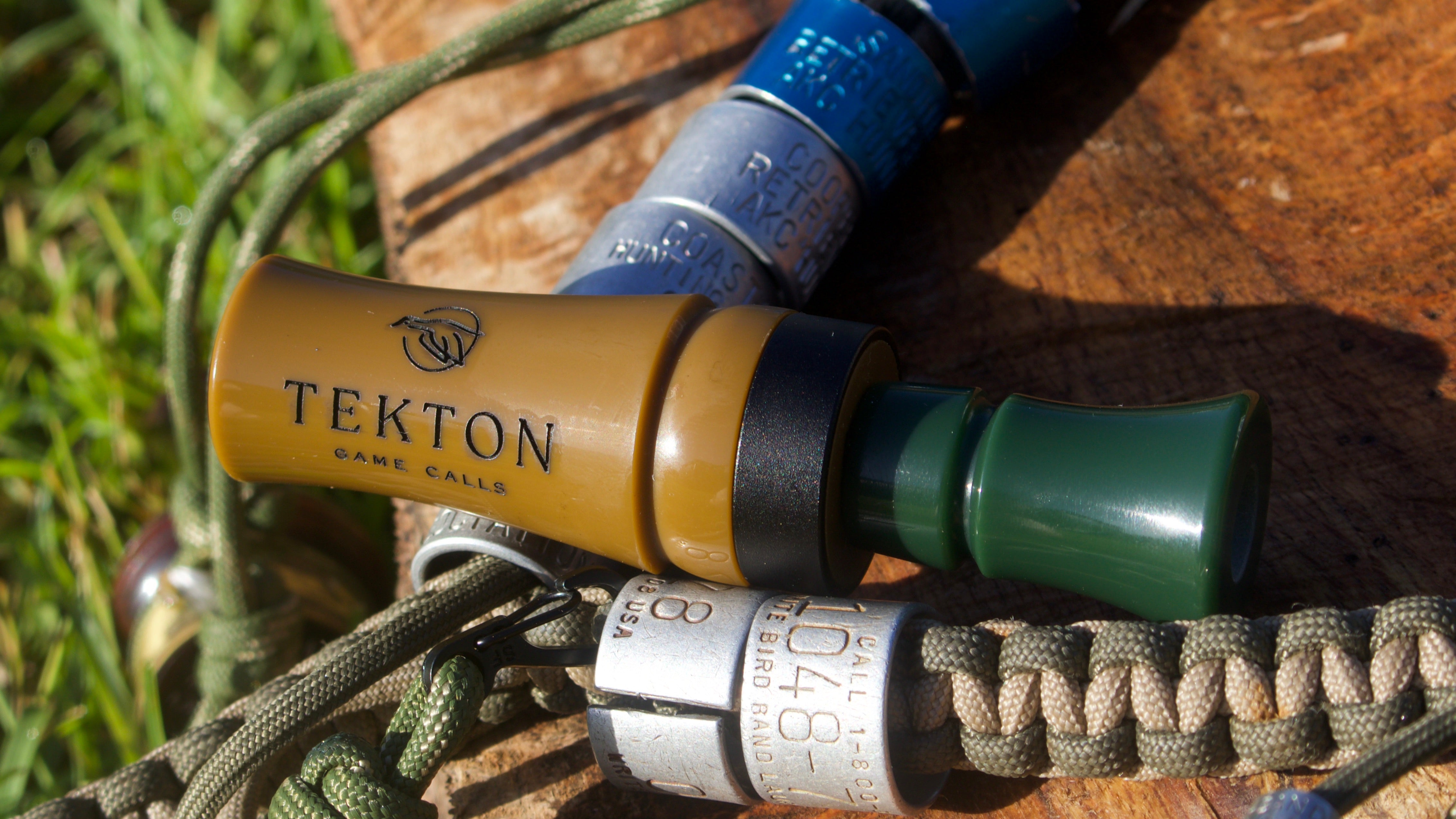 Tan and Green Banded Kaleo
